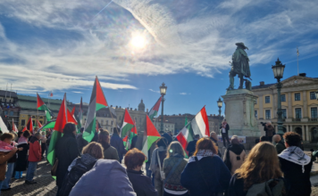 ”Det här är en tid för att eskalera” – tal från demonstration i Göteborg 12/10