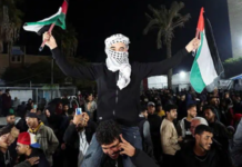 Vapenvila i Gaza: En hyllning av ståndaktighet och motstånd, och en brådskande uppmaning till internationell eskalering för Palestina