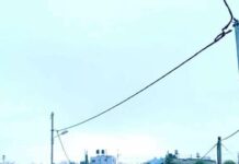 Thousands of Palestinians join funeral of resistance for Basil al-Araj