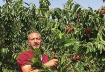 2 October, worldwide: Twitter storm to end Israeli torture and free Samer Arbeed