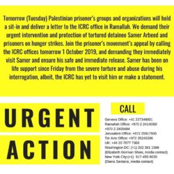 71575309_2797180233648778_2502794945094483968_n