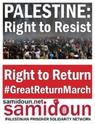 SAMIDOUNsign PalestineRightToResistRightToReturn Teargas 4-12-18-page-001