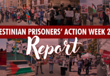 Palestinian Prisoners’ Action Week 2021: Global action report and growing solidarity