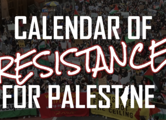 Calendar of Resistance for Palestine: Events, Actions and Demonstrations For Liberation, Against Genocide