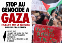 21 août, Toulouse : Rassemblement contre le génocide à Gaza