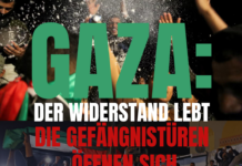 Gaza: Der Widerstand lebt, die Gefängnistüren öffnen sich – Auf dem Weg zur Befreiung und Rückkehr