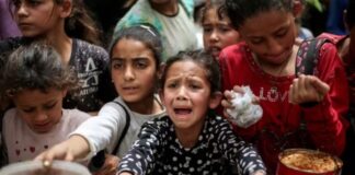 O que a fome na Faixa de Gaza de 2025 deixa para a história