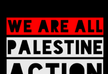We are all Palestine Action! Confronting proscription and “terror” designation of direct action in Britain