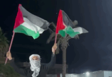 Cessar-fogo em Gaza: Uma homenagem à firmeza e à resistência, e um apelo urgente por escalada internacional em favor da Palestina