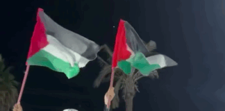 Cessar-fogo em Gaza: Uma homenagem à firmeza e à resistência, e um apelo urgente por escalada internacional em favor da Palestina