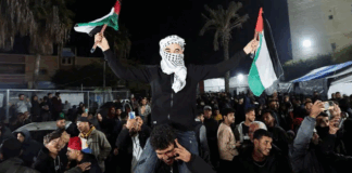 Cessez-le-feu à Gaza : Un hommage à la détermination et à la résistance, un appel urgent à l’escalade internationale en faveur de la Palestine