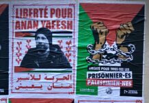 Palestinian political prisoner in Italy Anan Yaeesh returns to court on 21 November