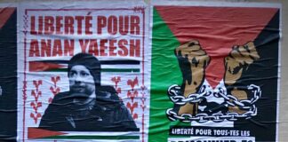 Palestinian political prisoner in Italy Anan Yaeesh returns to court on 21 November